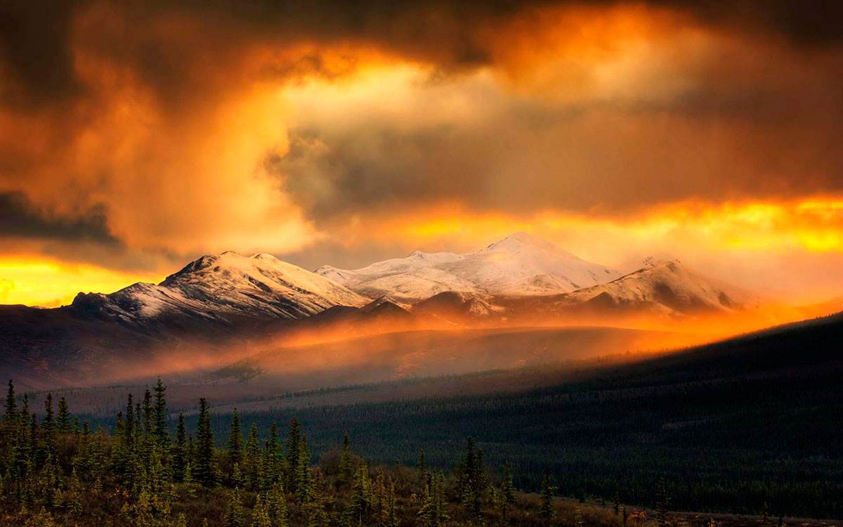 Камар и тело