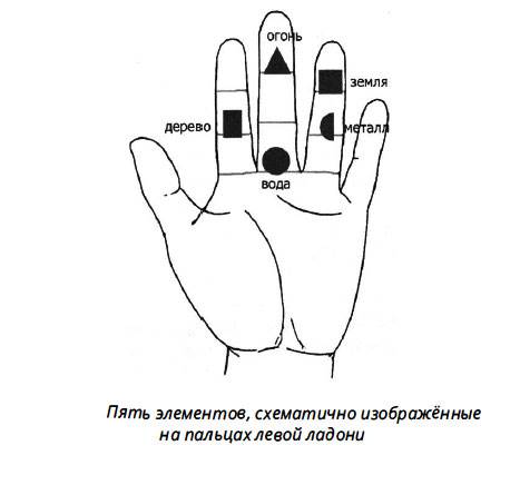 пять пальцев